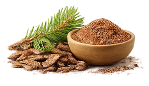Pine Bark Extract